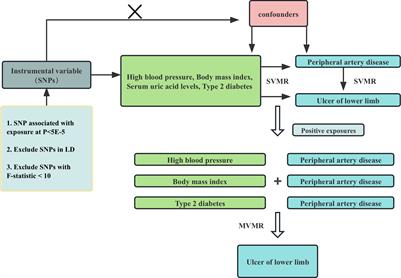 Peripheral artery disease mediating the effect of metabolic syndrome related diseases on lower limb ulcers: Mendelian randomization analysis